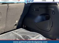 2020 Jeep Renegade RENEGADE TRAILHAWK® 4X4