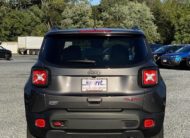 2020 Jeep Renegade RENEGADE TRAILHAWK® 4X4