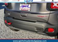 2020 Jeep Renegade RENEGADE TRAILHAWK® 4X4