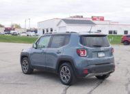 2017 Jeep Renegade Limited