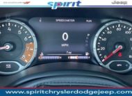 2020 Jeep Renegade RENEGADE TRAILHAWK® 4X4